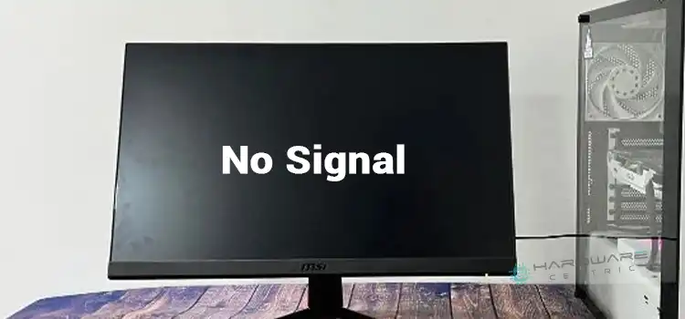 No Signal on Monitor With New PC Build